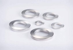 Disk Spring Washers for Heavy Duty (1H)